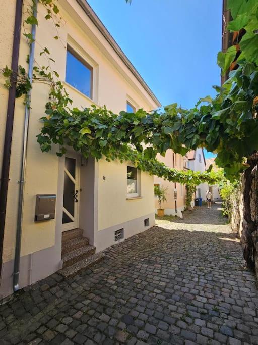 Casa Ciconia - Ueber Den Daechern Der Altstadt Freinsheim Exteriér fotografie