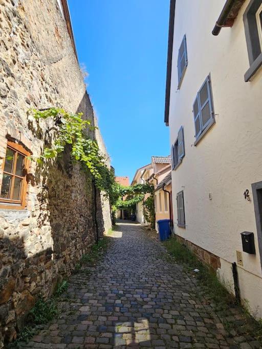 Casa Ciconia - Ueber Den Daechern Der Altstadt Freinsheim Exteriér fotografie