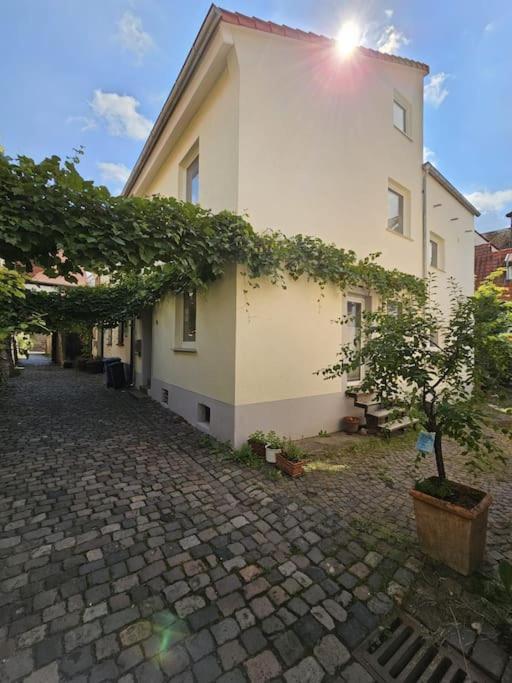 Casa Ciconia - Ueber Den Daechern Der Altstadt Freinsheim Exteriér fotografie