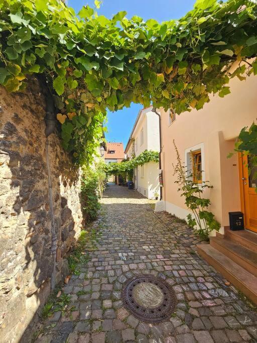 Casa Ciconia - Ueber Den Daechern Der Altstadt Freinsheim Exteriér fotografie